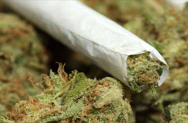 Tribal casinos Could Allow Customers To Smoke Marijuana