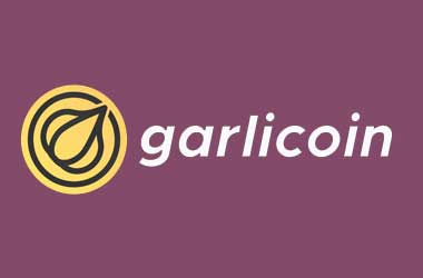 Garlicoin, a New Meme Coin Based on ASIC Resistant PoW Algorithm