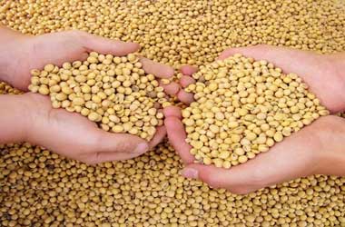 Soybean US-China Shipment Completed With Blockchain Technology