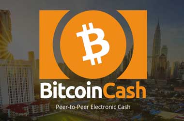 Bitcoin Cash Trades at About 25% Of Its Peak Price of $4080