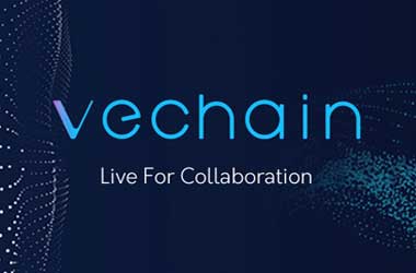 VeChain Bags Runner-up Position At VivaTech Event In Paris