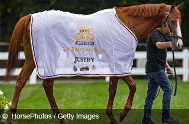 Justify Racehorse