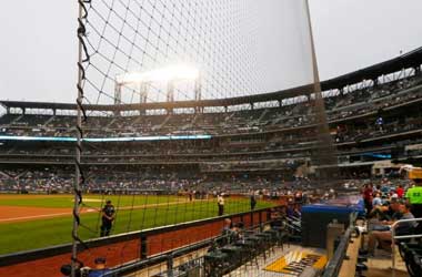 Protective Netting for Major League Baseball
