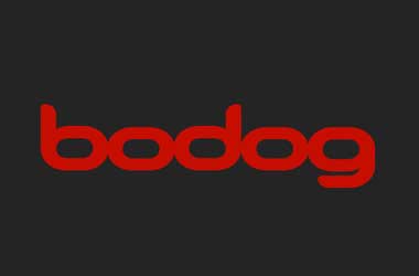 Bodog