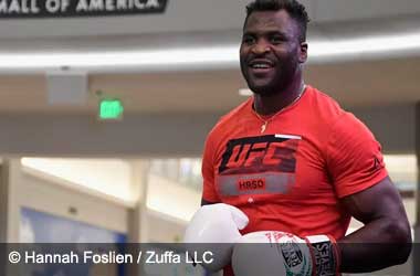 Francis Ngannou Boxing