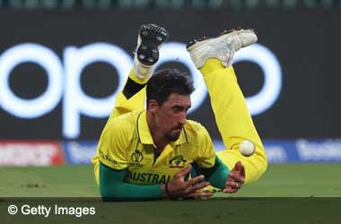 Mitchell Starc drops catch at ICC World Cup 2023 vs South Africa