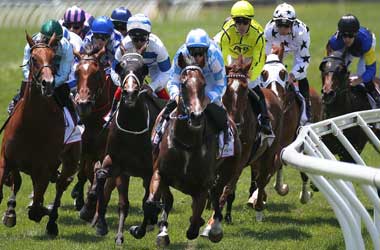 Horse Betting Phrases You May Not have Heard About Ever