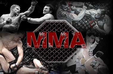 mixed martial arts