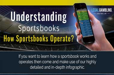 Infographic on How Sportsbooks Work and Operate